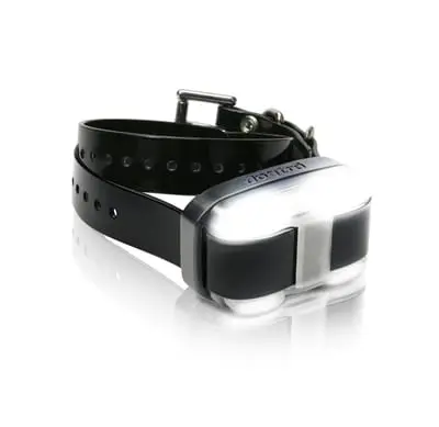 Dogtra Edge Extra Receiver Black