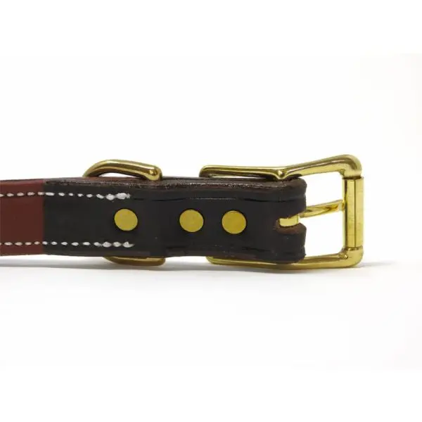 K-9 Komfort 1 Inch Dark Brown Latigo with Rust Cow Hide Premium Deluxe Leather D Ring Collar