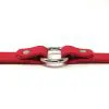 K-9 Komfort 3/4 Inch TufFlex Red Center Ring Collar