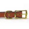 K-9 Komfort 1" Premium Deluxe Tan Skirting with Dark Buffalo Liner Leather D Ring Collar