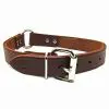 1 Inch Leather Center Ring Collar