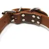 1 1/4 Inch Leather Collar