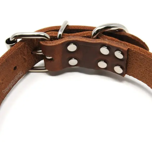 1 1/4 Inch Leather Collar