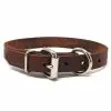 3/4 Inch Leather D-End Collar