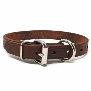 3/4 Inch Leather D-End Collar