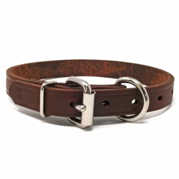 3/4 Inch Leather D-End Collar