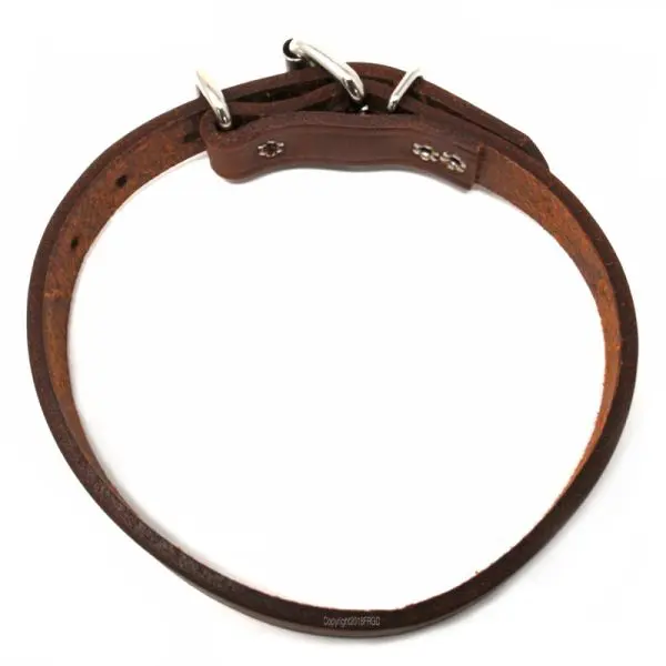 3/4 Inch Leather D-End Collar