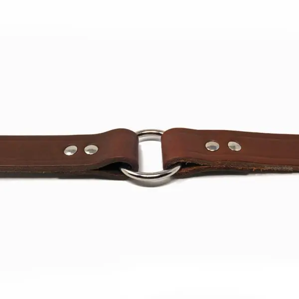 1 Inch Leather Center Ring Collar