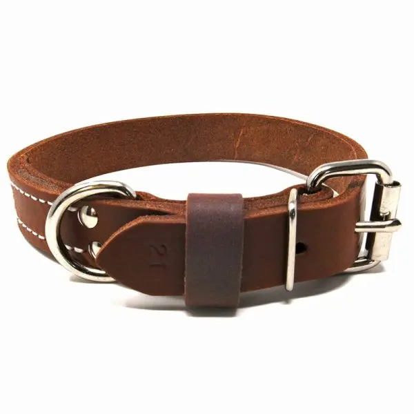 1 Inch Deluxe Leather Collar
