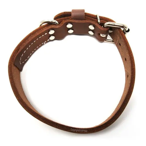 1 Inch Deluxe Leather Collar