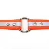 1 Inch Beta Reflective Collar Orange