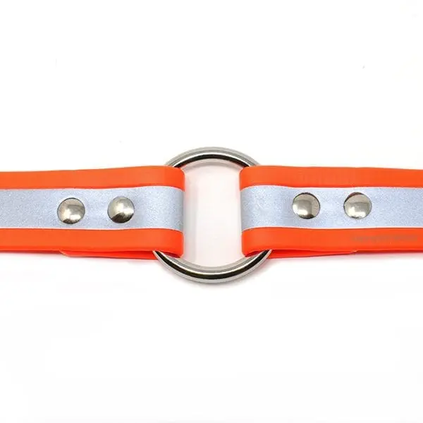 1 Inch Beta Reflective Collar Orange