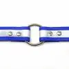 1 Inch Beta Reflective Collar RIC Blue