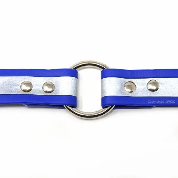 1 Inch Beta Reflective Collar RIC Blue