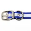 1 Inch Beta Reflective Collar RIC Blue