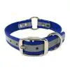 1 Inch Beta Reflective Collar RIC Blue