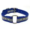 1 Inch Beta Reflective Collar RIC Blue