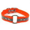 1 Inch Beta Reflective Collar Orange