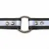 1 Inch Beta Reflective Collar RIC Black