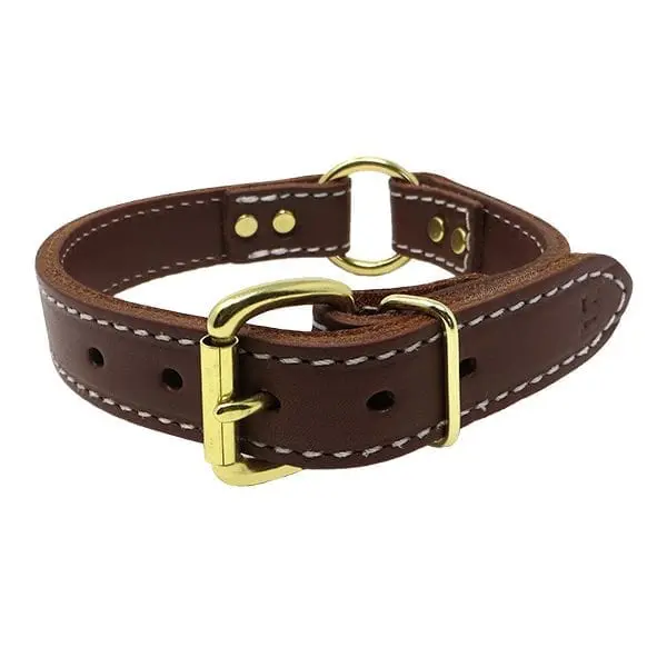 1 Inch 2 Ply Leather Center Ring Collar Brass