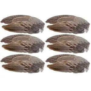 Pheasant Wings 6 Pack