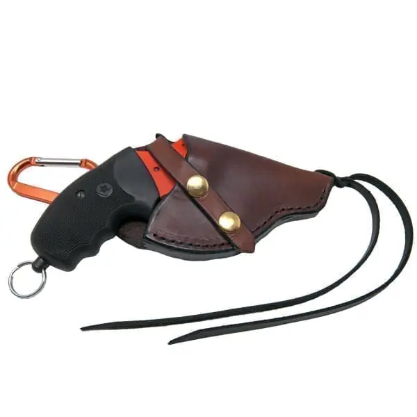 Charter Arms Pro Holster