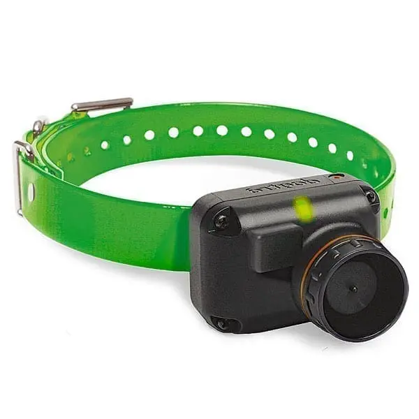 Dogtra T&B Additional Receiver