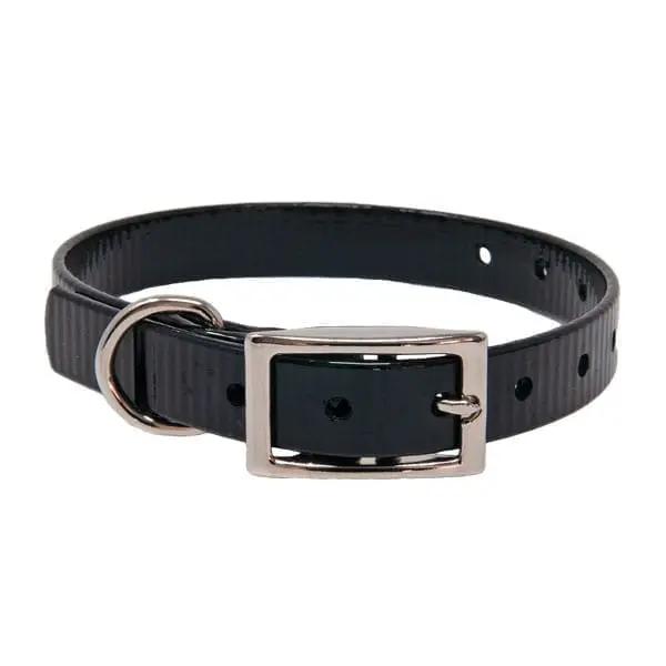 Puppy Collar
