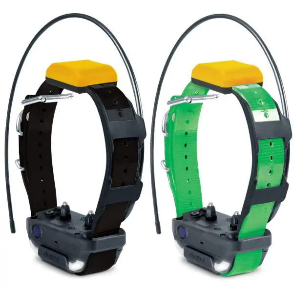 Dogtra Pathinder 2 Collar