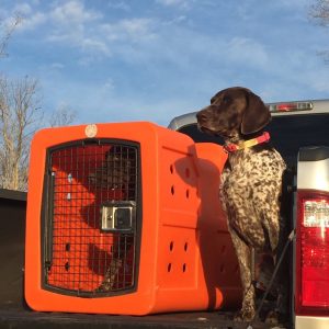 Kennel
