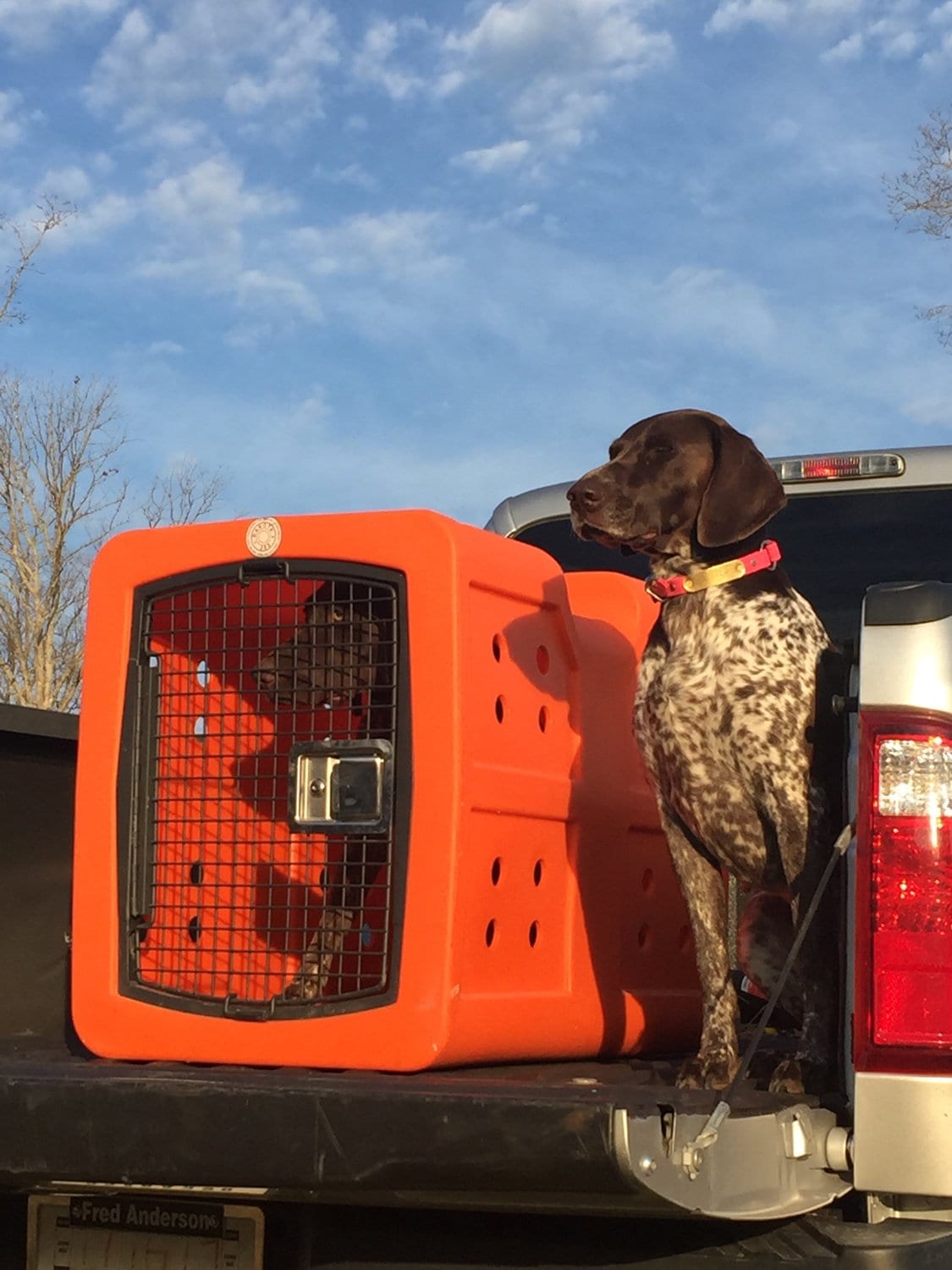 Proudly Made in USA Dog Kennels and Crates | Front Range Gun Dog