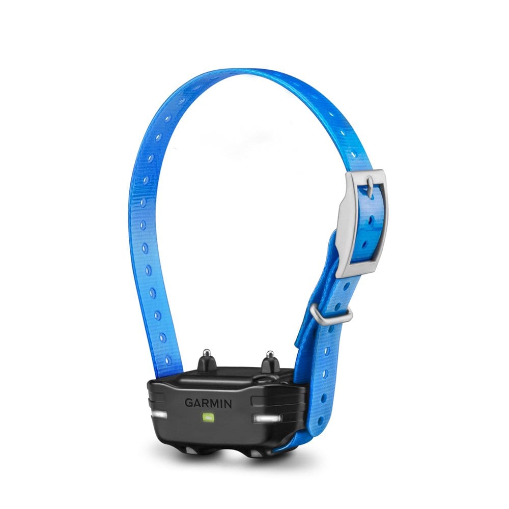 Garmin PT 10 Dog Device with Blue Collar
