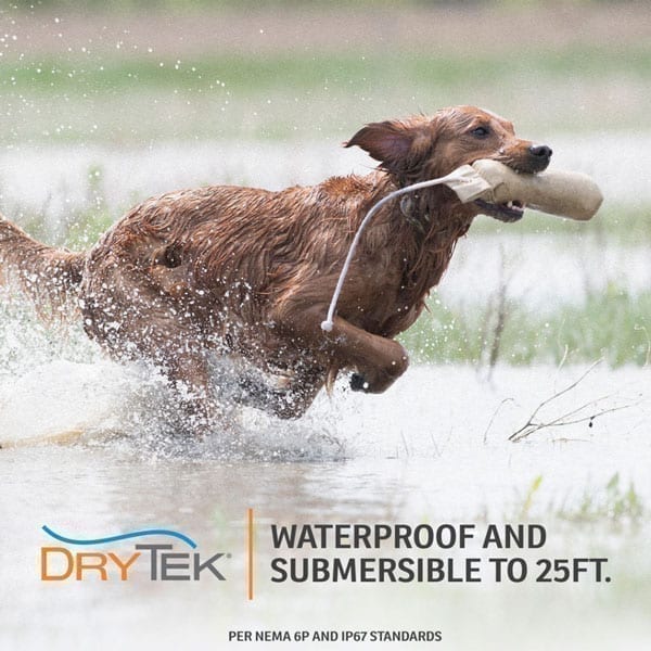 SportDOG WetlandHunter 1825X