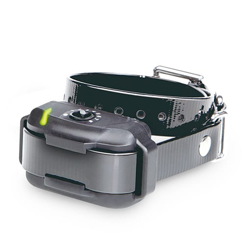 Dogtra Extra Collar for E-Fence 3500