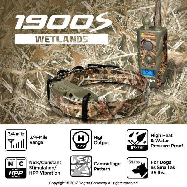 Dogtra arc wetlands sale