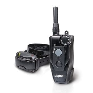 Dogtra 200C System