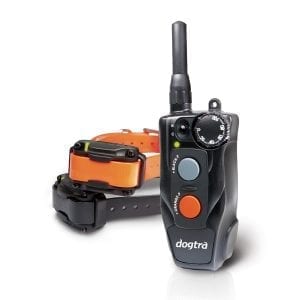 Dogtra 202C System