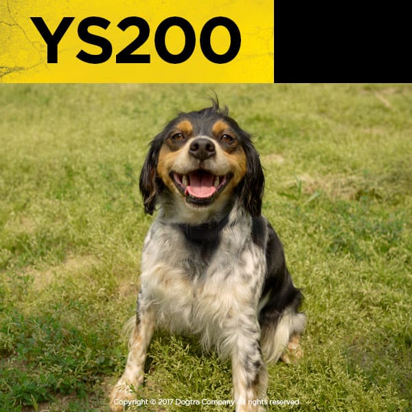 dogtra ys200
