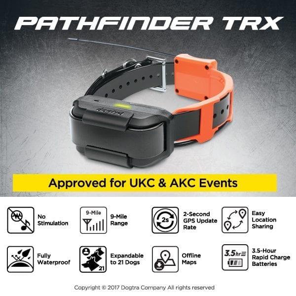 Dogtra Pathfinder TRX Features