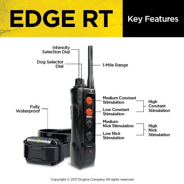Dogtra Edge RT System Key Features