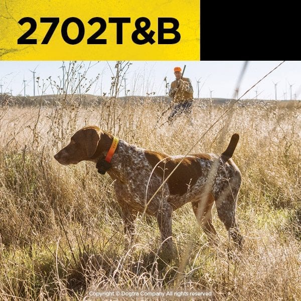 Dogtra 2702TB