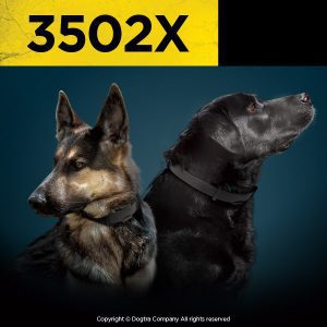 Dogtra 3502X