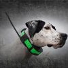 SportDOG TEK-V1.5LT