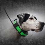 SportDOG TEK-V1.5LT