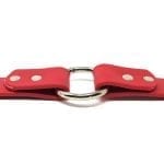 K-9 Komfort 1 Inch TufFlex Red Center Ring Collar