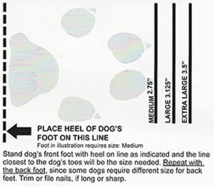 Lewis Dog Boot Paw Measure