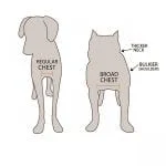 0000771_snakearmor-dog-hunting-vest_1