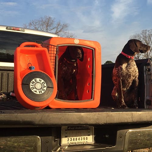 Dakota 283 Dine N Dash Feeding System
