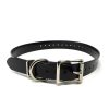 1" Universal Replacement Strap, Roller Double Buckle, D Loop