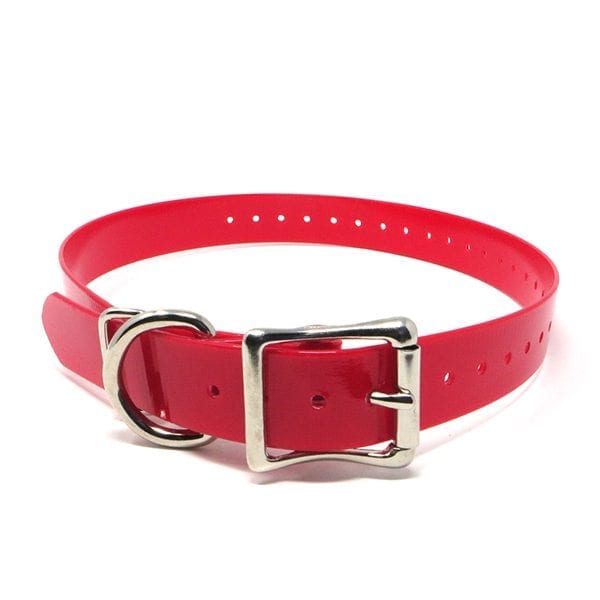 1" Universal Replacement Strap, Roller Double Buckle, D Loop